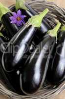 Eggplants.