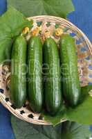 Cucumbers