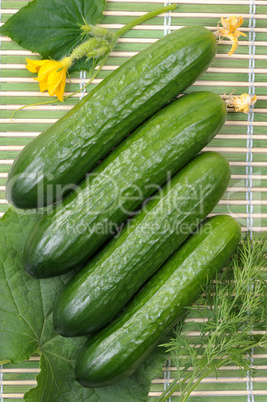 Cucumbers