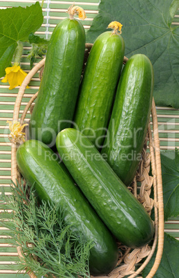 Cucumbers