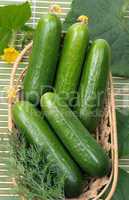 Cucumbers