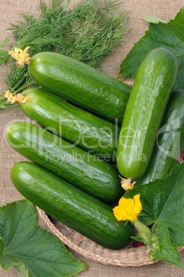 Cucumbers