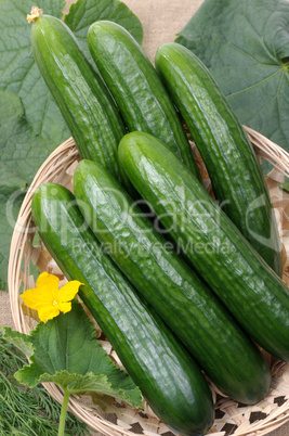 Cucumbers