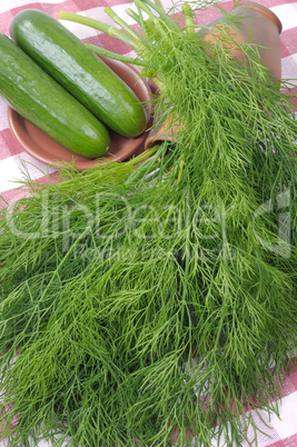 Dill