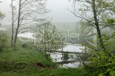 Morning on the River