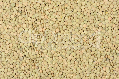 Lentils