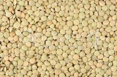 Lentils