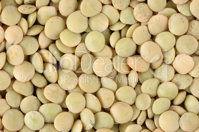 Lentils