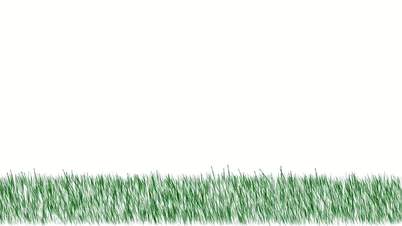 fresh spring grass,depth of field.wheat,barley,plants,grasslands,wind,