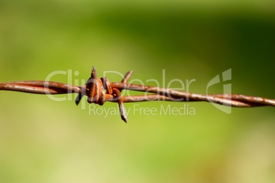 Close up of old rusty twisted barbed wire