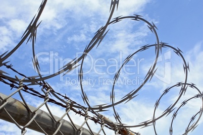 Barbed wire fence