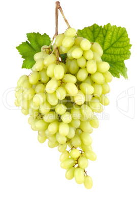 Kernlose süße Weintrauben auf weiß