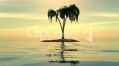 A sunset over an island with palms.