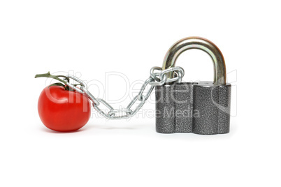 Tomato Under Arrest