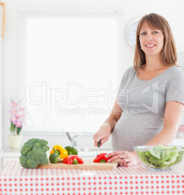 Good looking pregnant woman posing while cooking vegetables