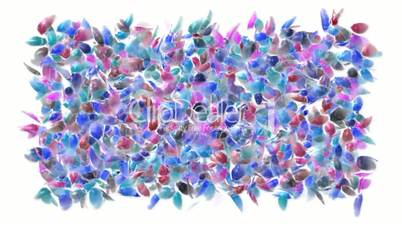 color feathers and wedding background,phoenix.
