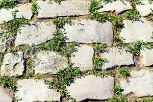 stone pavement with grass sprouted between the stones