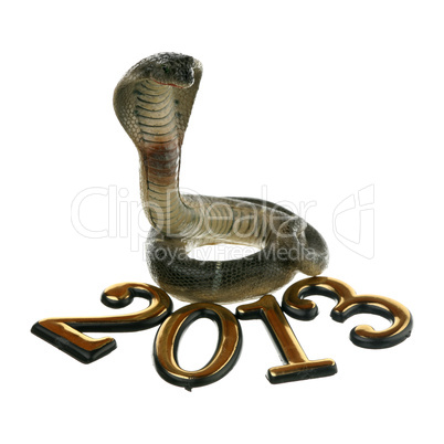 2013 - year of the Snake