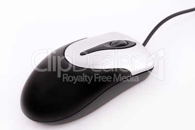 computer mouse isolated on white