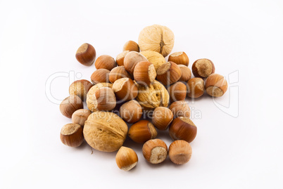 hazelnuts and walnuts isolated on white