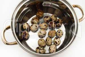 casserole with quail eggs isolated on white