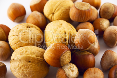 hazelnuts and walnuts isolated on white