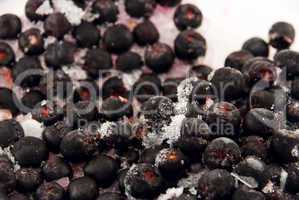 frozen berries isolated on white