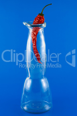 chili pepper in a glass bottle