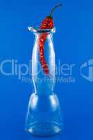 chili pepper in a glass bottle