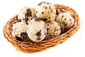 quail eggs in a basket isolated on white