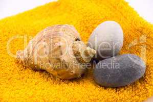 shells and stones on the towel isolated on white