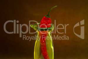 chili pepper in a glass bottle