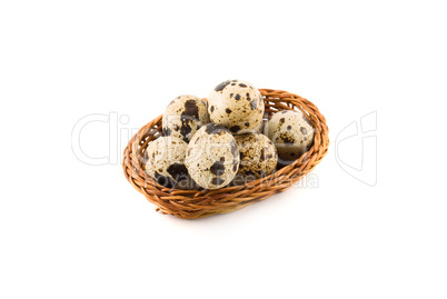 quail eggs in a basket isolated on white