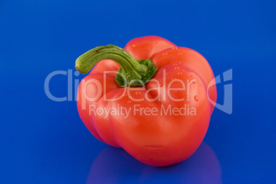 red peppers on a blue background