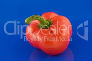 red peppers on a blue background