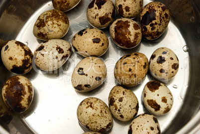 quail eggs