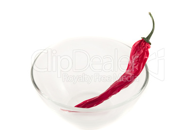 chili pepper in a glass bowl isolated on white