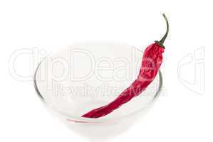 chili pepper in a glass bowl isolated on white