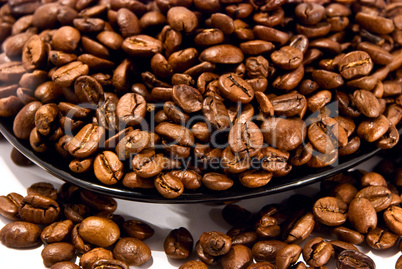 coffee beans