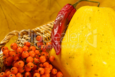 Autumn still life