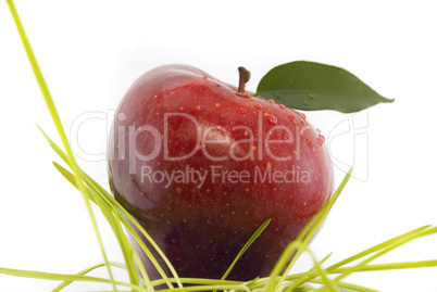 red apple isolated on white