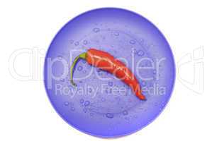 chili pepper on a plate isolated on white