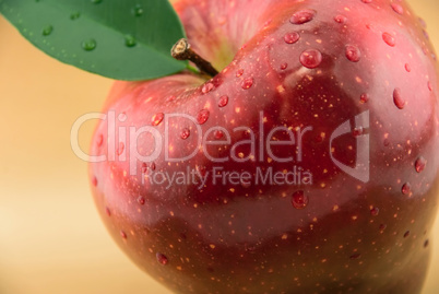 red apple on a gold background