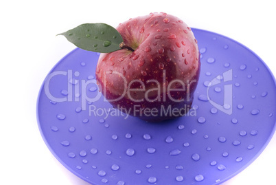 apple with leaf isolated on white apple with leaf isolated on white