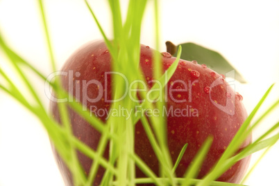 apple with leaf isolated on white