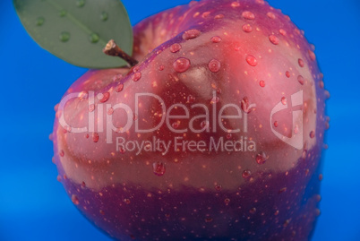 red apple on a blue background red apple on a blue background