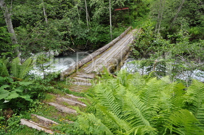 Brücke über einen Bergbach