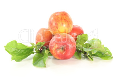 Äpfel und Blättern