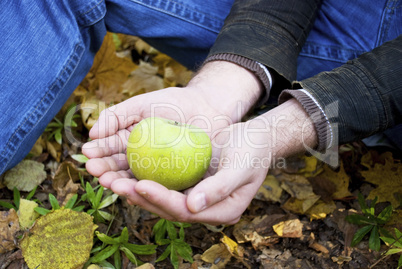 green apple in the hands of men