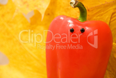 pepper with eyes on a background of autumn leaves